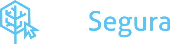RedSegura Tech